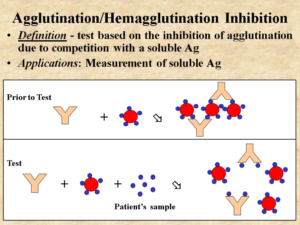 Agglutination/Hemagglutination Inhibition Definition - test based on the inhibition of agglutination due to competition
